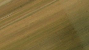 La expiloto fue puesta en libertad el viernes.