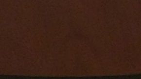 La regla de carga pública será implementada a partir del 24 de febrero.