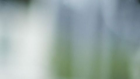 La mujer escondió el teléfono debajo de un asiento.