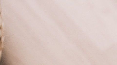 Las niñeras siempre son excleentes opciones para tener un momento privado en pareja.