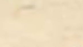 Noemí González tiene 54 años y, hasta el momento de su desaparición, vivía en North Miami.