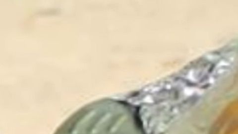 Noemí González tiene 54 años y, hasta el momento de su desaparición, vivía en North Miami.