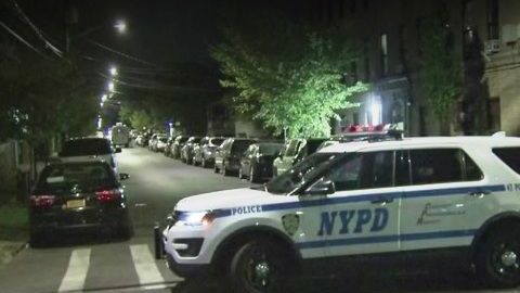NYPD en El Bronx