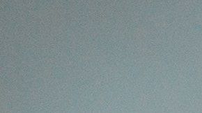 El perro al que mataron era un pitbull. (Archivo)