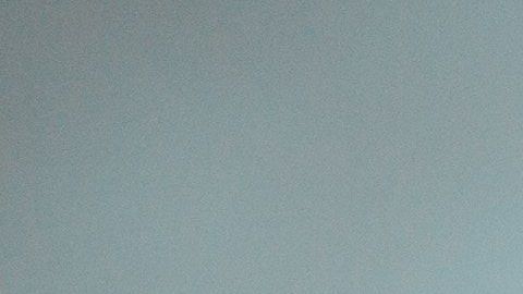 El perro al que mataron era un pitbull. (Archivo)