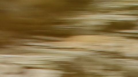 El Rolls-Royce Cullinan combina lujo y comodidad con todo terreno