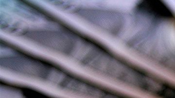 Te podrían sancionar con hasta $25,000 dólares en multas y cinco años de prisión por evasión de impuestos.