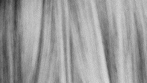 Pareja-beso- StockSnap en Pixabay