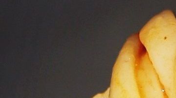 Pasta- 41330 en Pixabay