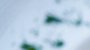 Pasta-fettuccine Engin_Akyurt en Pixabay