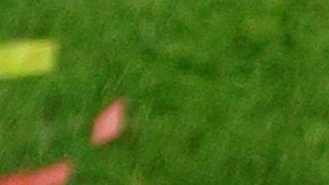 Brittany Matthews y Patrick Mahomes festejaron apasionadamente.