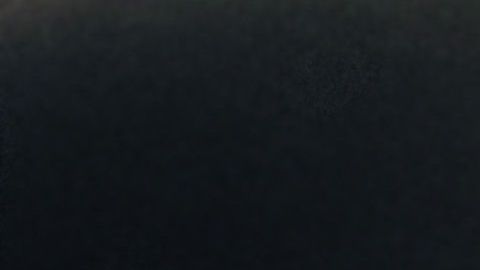 El color del pelaje de los perros cambia muchas veces por una enfermedad.