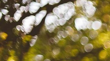 La paz interior es señal de madurez espiritual.