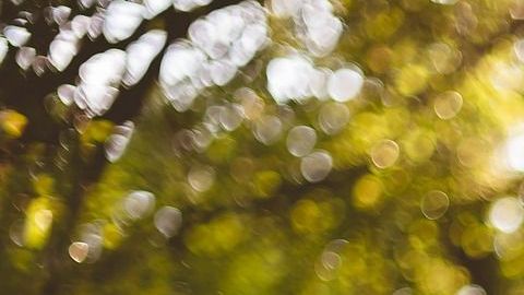 La paz interior es señal de madurez espiritual.