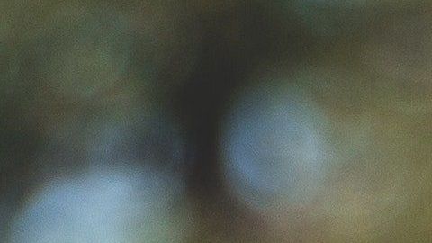 El estudio que muestra por qué no debes gritar a tu mascota.