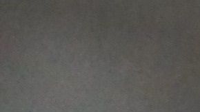 La educación del perro y su familia es fundamental para evitar accidentes.