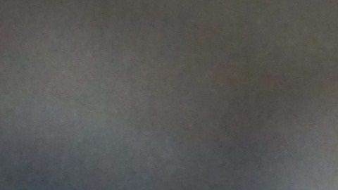 La educación del perro y su familia es fundamental para evitar accidentes.