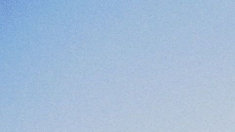 Los perros deben recibir educación para que aprendan qué no deben morder.