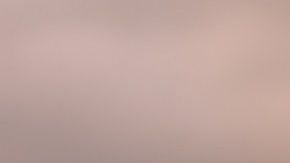 La salud cardiaca de una persona mejora con un perro como mascota.