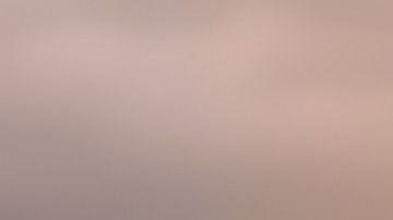 La salud cardiaca de una persona mejora con un perro como mascota.