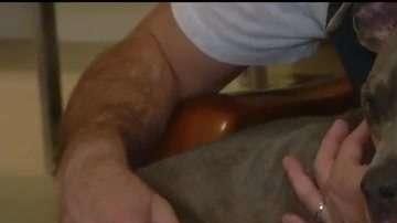 Sophie se ha podido reencontrar con su dueño, Gregory Leoce, tres años después de estar desaparecida.