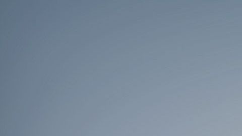 Los cachorros aprendices son los más susceptibles a orinarse por toda la casa.