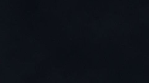 La fobia a los perros se origina casi siempre en la infancia.