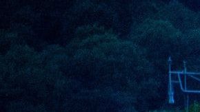 Ventajas de viajar en ferry / Créditos: Fotógrafo Philippe Oursel vía Unsplash