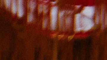 El nuevo año chino inició el 25 de enero de 2020.