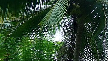 Piscina, una lujo innecesario que no da valor a la vivienda por su construcción.