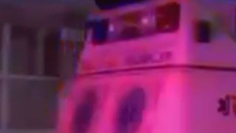 Sucedió 40 millas al norte de NYC