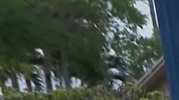 La policía estuvo investigando en el lugar de la escena durante varias horas.