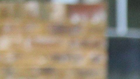 El príncipe George y la princesa Charlotte con sus padres, los Duques de Cambridge