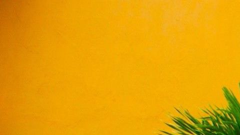 Las características de la puerta de entrada a tu casa son importantes para el Feng Shui.