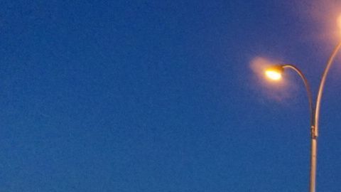 El Queens Night Market durante las noches del verano de 2019./Shanon Medina-Chávez (QNM) Cortesía