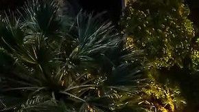 Piscina con río de The Pool House en Scottsdale, Arizona.