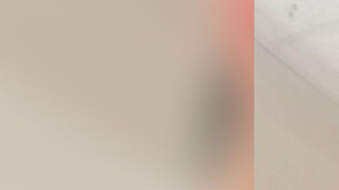 René Pedrosa podría ser acusado formalmente de varios cargos al enviar una fotografía de sus genitales a un menor.