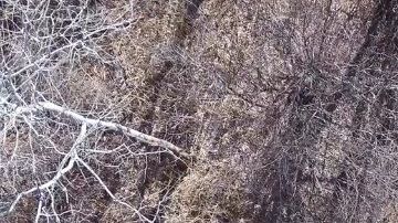 Vista aérea del rescate