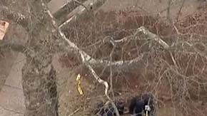 Los restos humanos fueron descubiertos en el exterior de una vivienda en NJ.