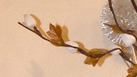 Rocío Sánchez Azuara