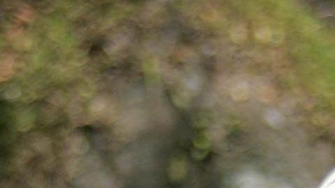 Rowan Baxter tenía 42 años.