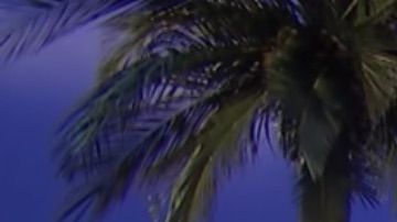 La mujer resolvió el panel en solo 10 segundos.