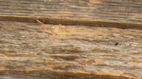 Las runas son considerados símbolos mágicos.