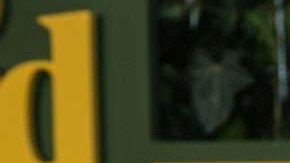 Salma Hayek luce radiante.