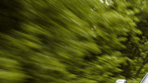 Las camionetas de Ford mantienen la cima.