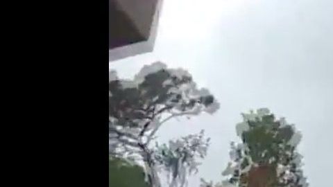 El momento del arresto de la niña.