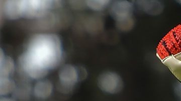 Jurado recibió su primer gol con la Máquina.