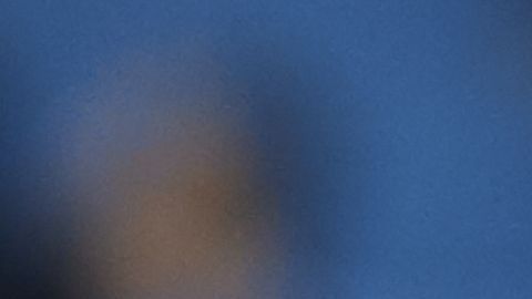 El Real Madrid enfrenta una semana de alto voltaje en las dos competencias en las que sigue con vida.