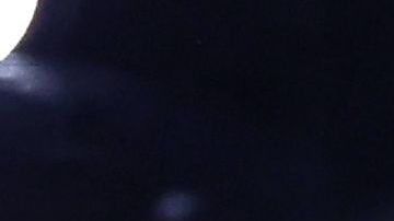 Shakira y Jennifer López.