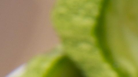 shutterstock_100537837